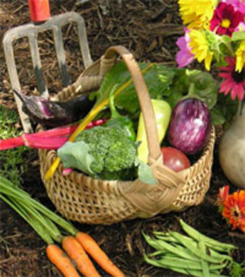 Product picture Veg Gardening Secrets - How to Grow Vegetables